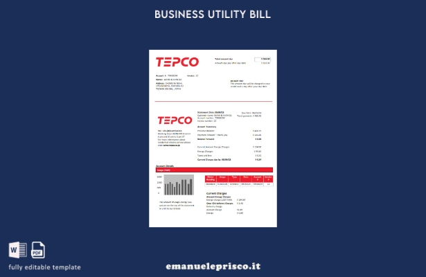 stile verificato Fattura aziendale della società di elettricità della Tokyo Elec